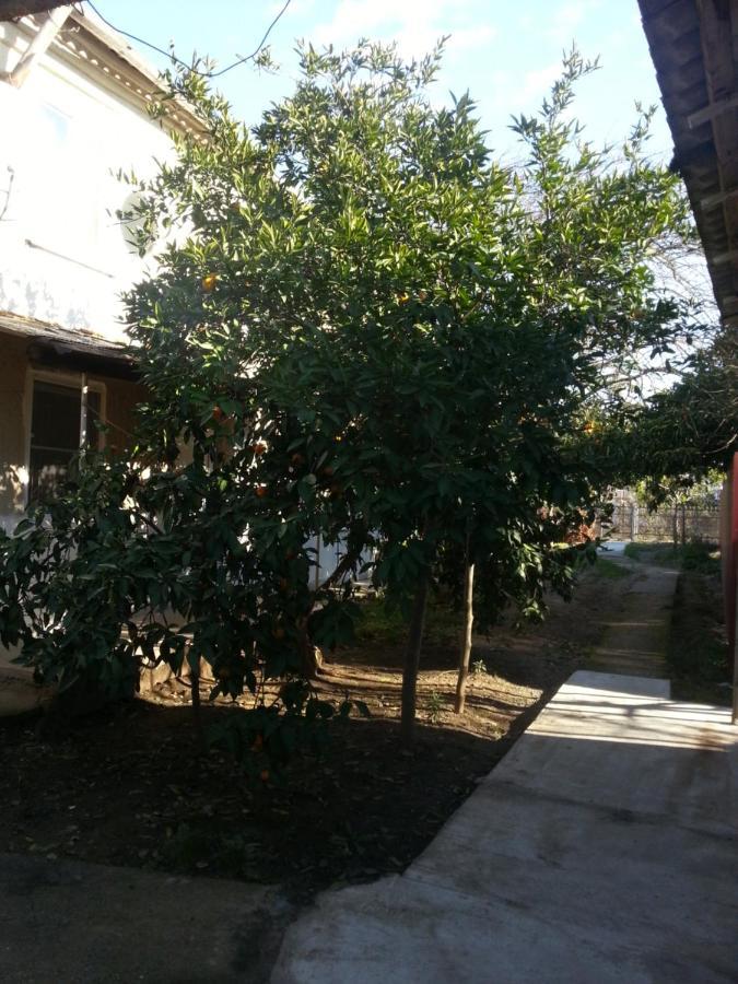 Guest House Yuzhnaya Palmira Pizunda Extérieur photo